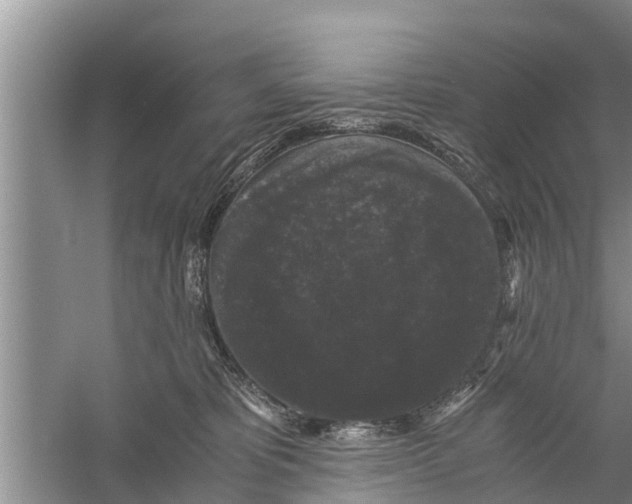 X0000058760325200510281925