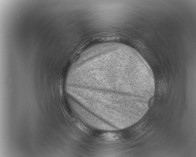 X0000058760326200510281925