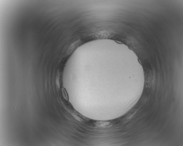 X0000058760334200510281924