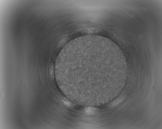 X0000058760336200510281924