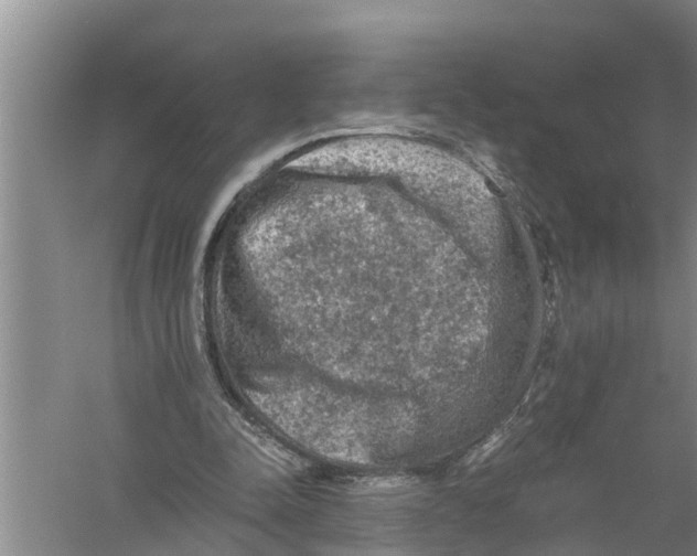 X0000058760342200510281924