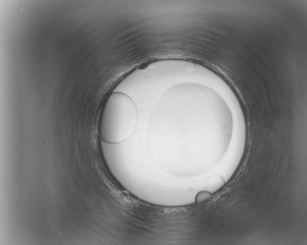 X0000058760345200510281924