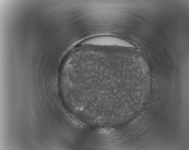 X0000058760346200510281924