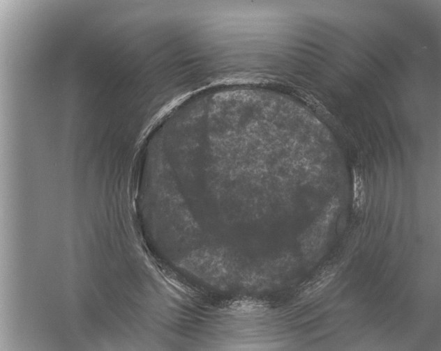 X0000058760348200510281924