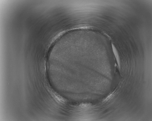 X0000058760350200510281924