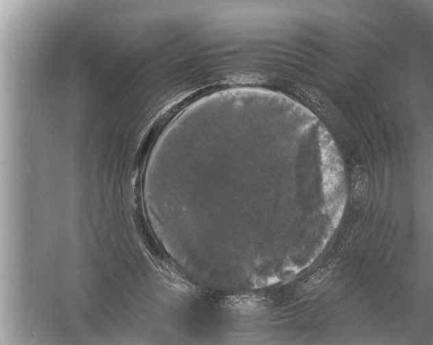 X0000058760351200510281924