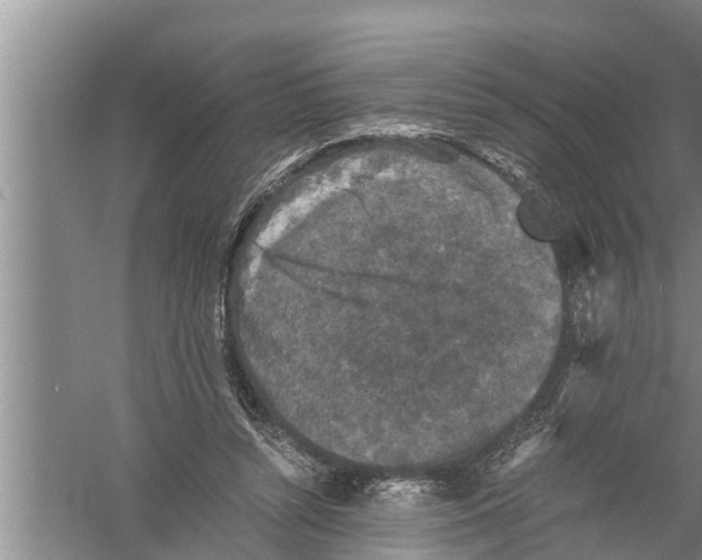 X0000058760352200510281924