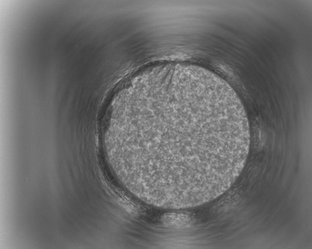 X0000058760354200510281924