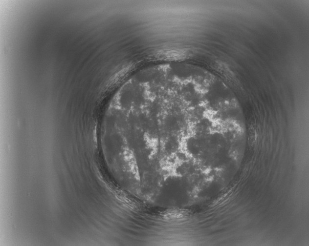 X0000058760358200510281924