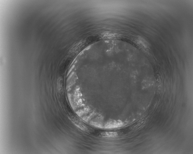 X0000058760361200510281924