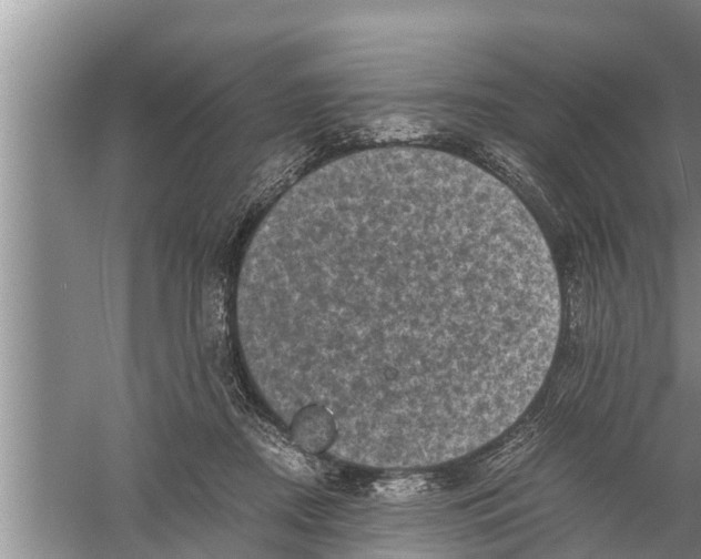 X0000058760362200510281924