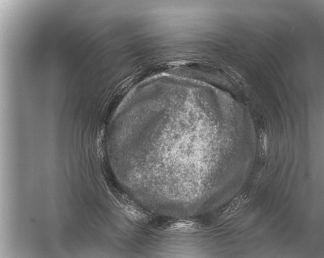 X0000058760364200510281924