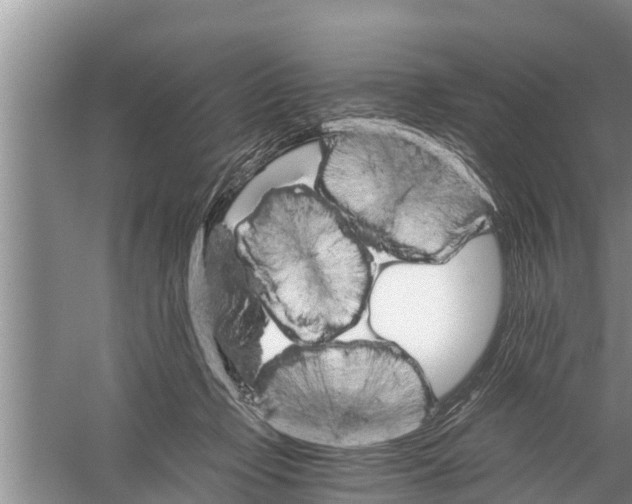 X0000058760365200510281924