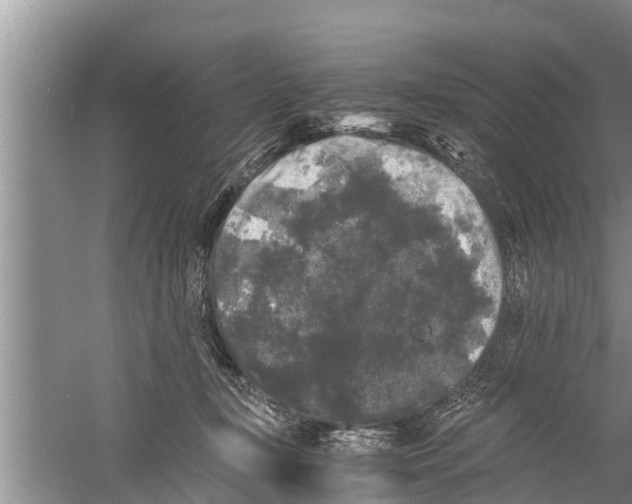 X0000058760367200510281924