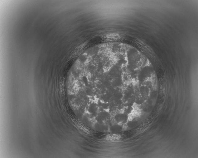 X0000058760369200510281924