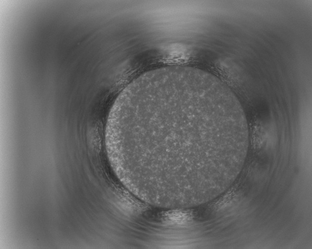 X0000058760370200510281924