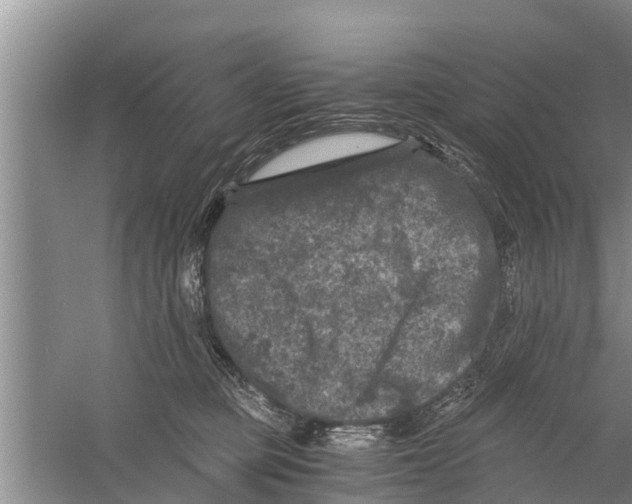 X0000058760373200510281924