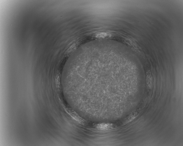 X0000058760375200510281924