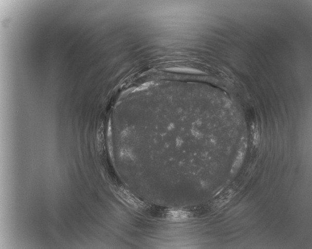 X0000058760376200510281924