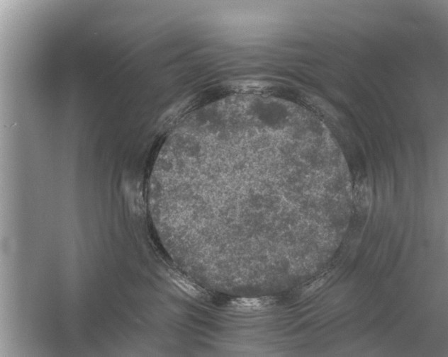 X0000058760381200510281924