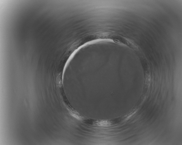 X0000058760383200510281924