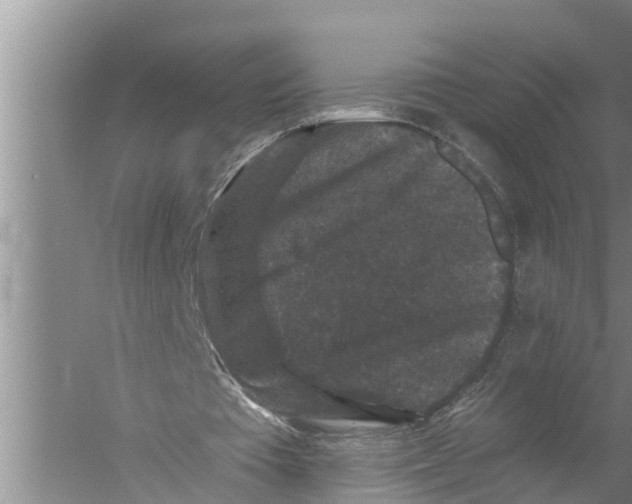 X0000058760385200510281924