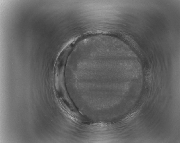 X0000058760395200510281923