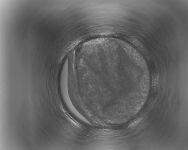 X0000058760397200510281923