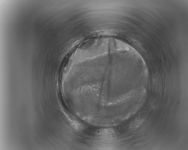 X0000058760398200510281923