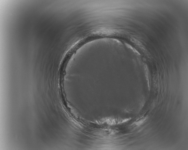 X0000058760399200510281923