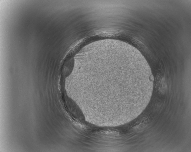 X0000058760400200510281923