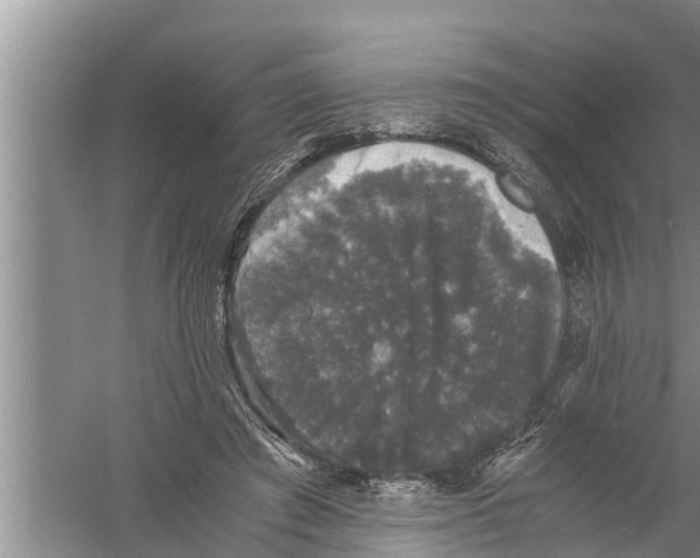 X0000058760401200510281923