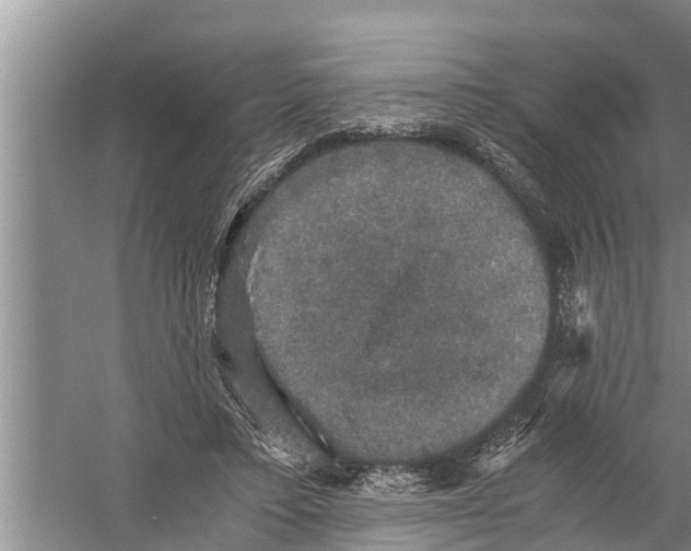 X0000058760403200510281923