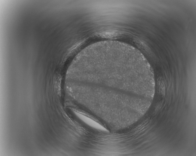 X0000058760404200510281923