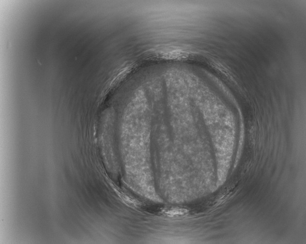 X0000058760407200510281923