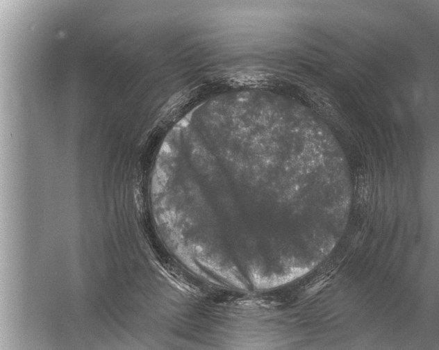 X0000058760408200510281923