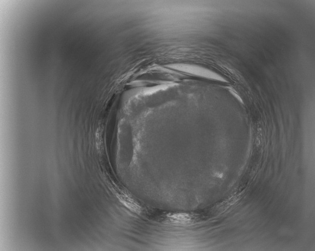 X0000058760409200510281923