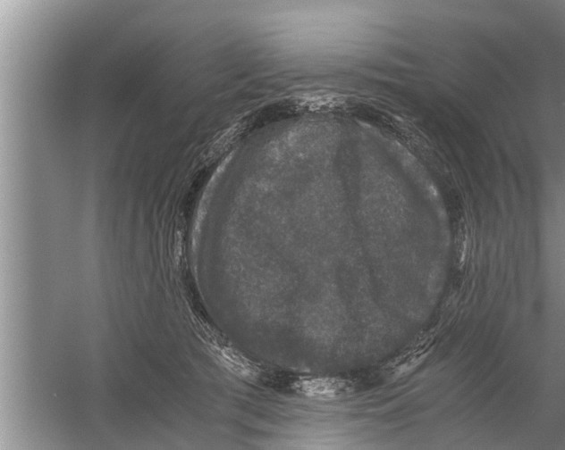 X0000058760417200510281923