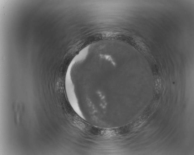 X0000058760419200510281923