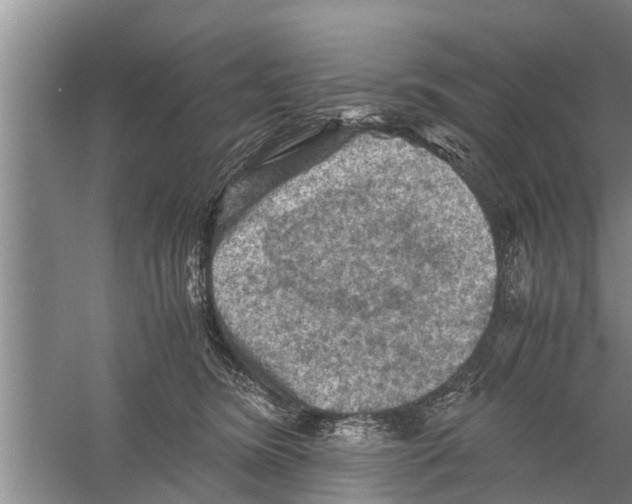 X0000058760420200510281923