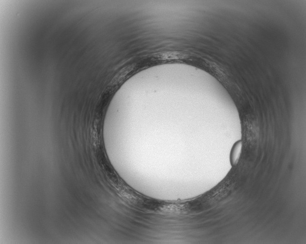 X0000058760422200510281923