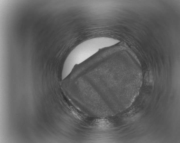 X0000058760424200510281923