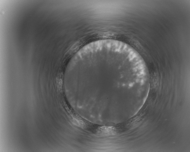 X0000058760427200510281923