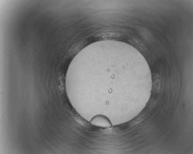 X0000058760430200510281923