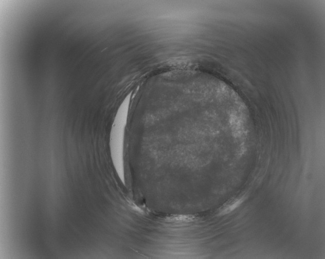 X0000058760432200510281923