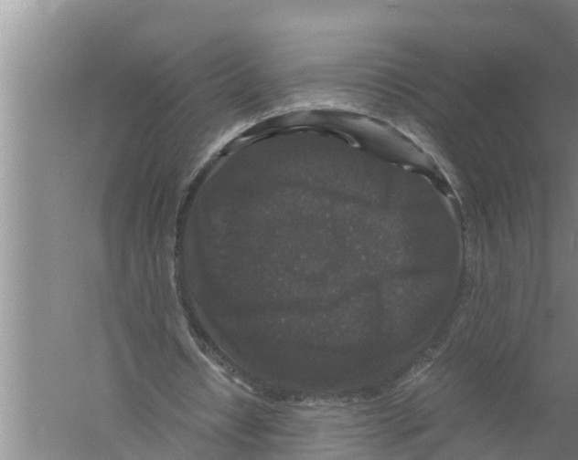 X0000058760434200510281922