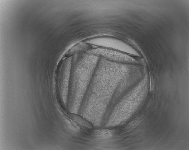 X0000058760435200510281922