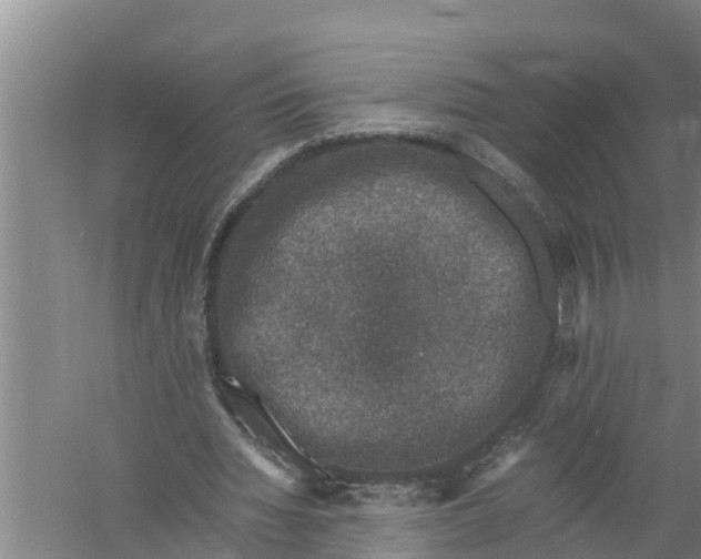 X0000058760436200510281922