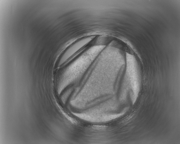 X0000058760437200510281922