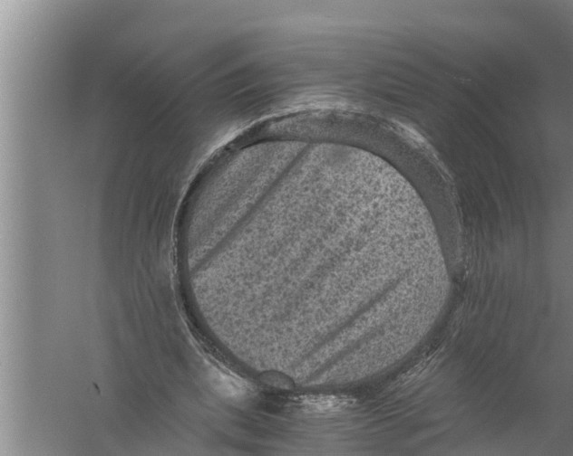 X0000058760439200510281922